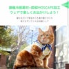 接触冷感素材+防蚊MOSCAPE加工ウェアで楽しくお出かけしよう！