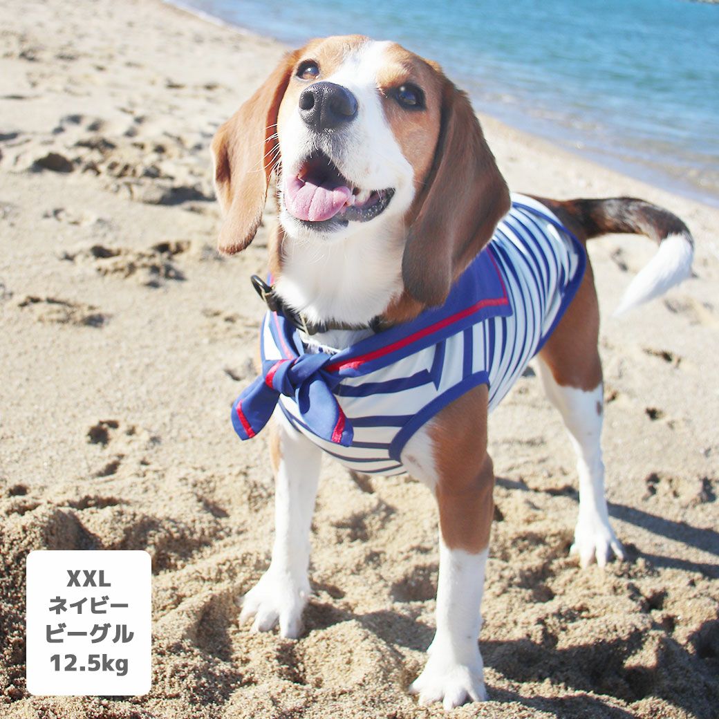 iDog COOL+MOSCAPE セーラータンク 接触冷感 防蚊 アイドッグ-犬猫用品