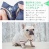 着せやすいからストレスフリーなドッグウェア