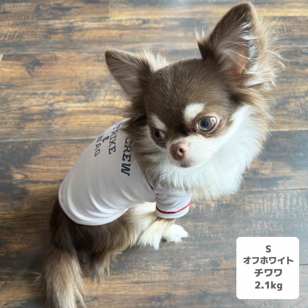 iDog COOL ME+MOSCAPE ベースボールシャツ 冷感 ひんやり 防蚊 アイ