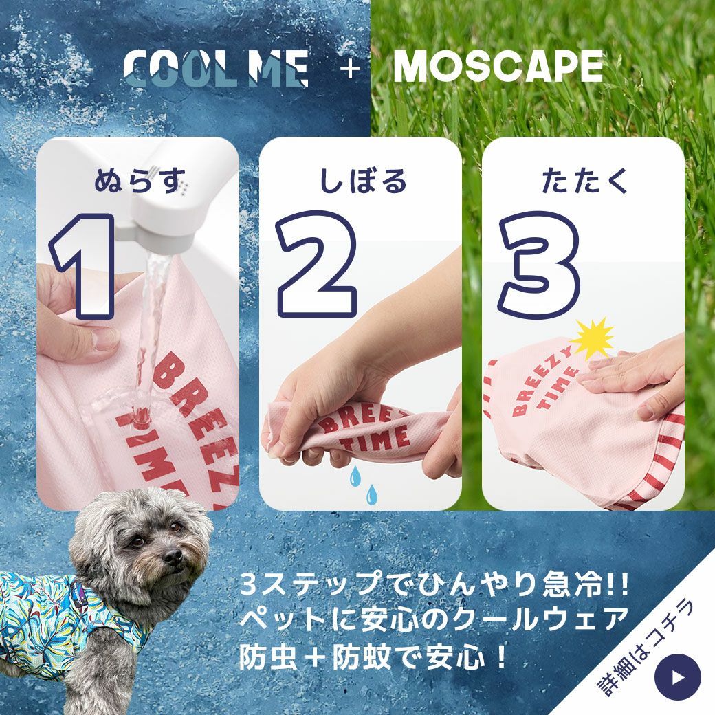 3ステップでひんやり急冷＆防虫！ペットにやさしいクールウェア