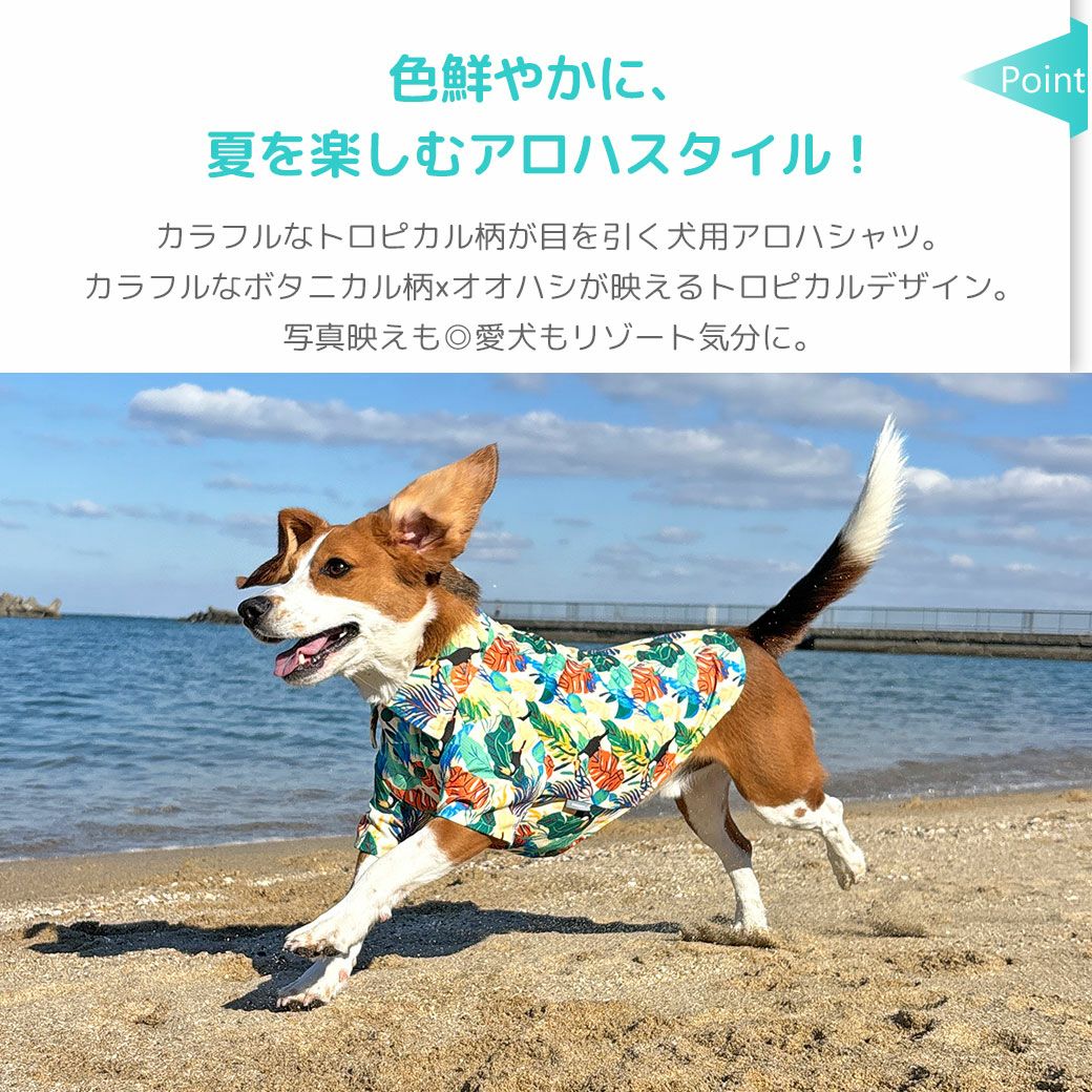 ハンドメイド犬服・蝶々と花柄・鮮やかなエメラルドブルー ギャザーたっぷりお洋服 iDog IDOG EQUIPMENT COOL ME+MOSCAPE アロハシャツ 冷感 ひんやり