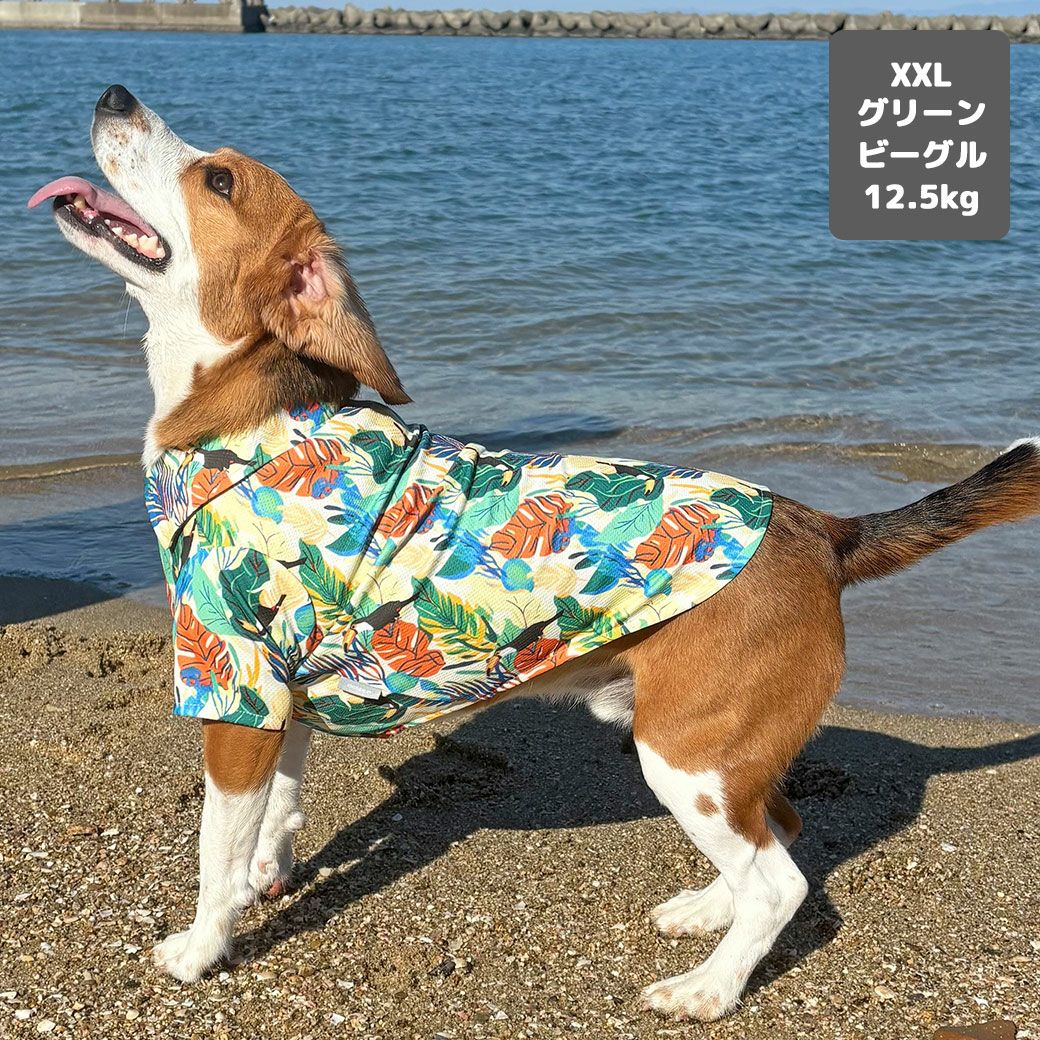 iDog IDOG EQUIPMENT COOL ME+MOSCAPE アロハシャツ 冷感 ひんやり