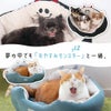 iDogMonsterCOOLなゴーストラウンドベッド接触冷感
