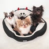 チワワ1.7kg(首18/胴27.5/丈18cm)の小真知ちゃん、チワワ1.7kg(首19/胴28.5/丈21cm)の小桃ちゃん、チワワ2.1kg(首19.5/胴30.5/丈22cm)の玉青ちゃんはまっくらブラックを使用