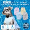 全４カラー