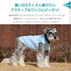 暑い日もたくさん遊びたいアクティブなワンコにピッタリ