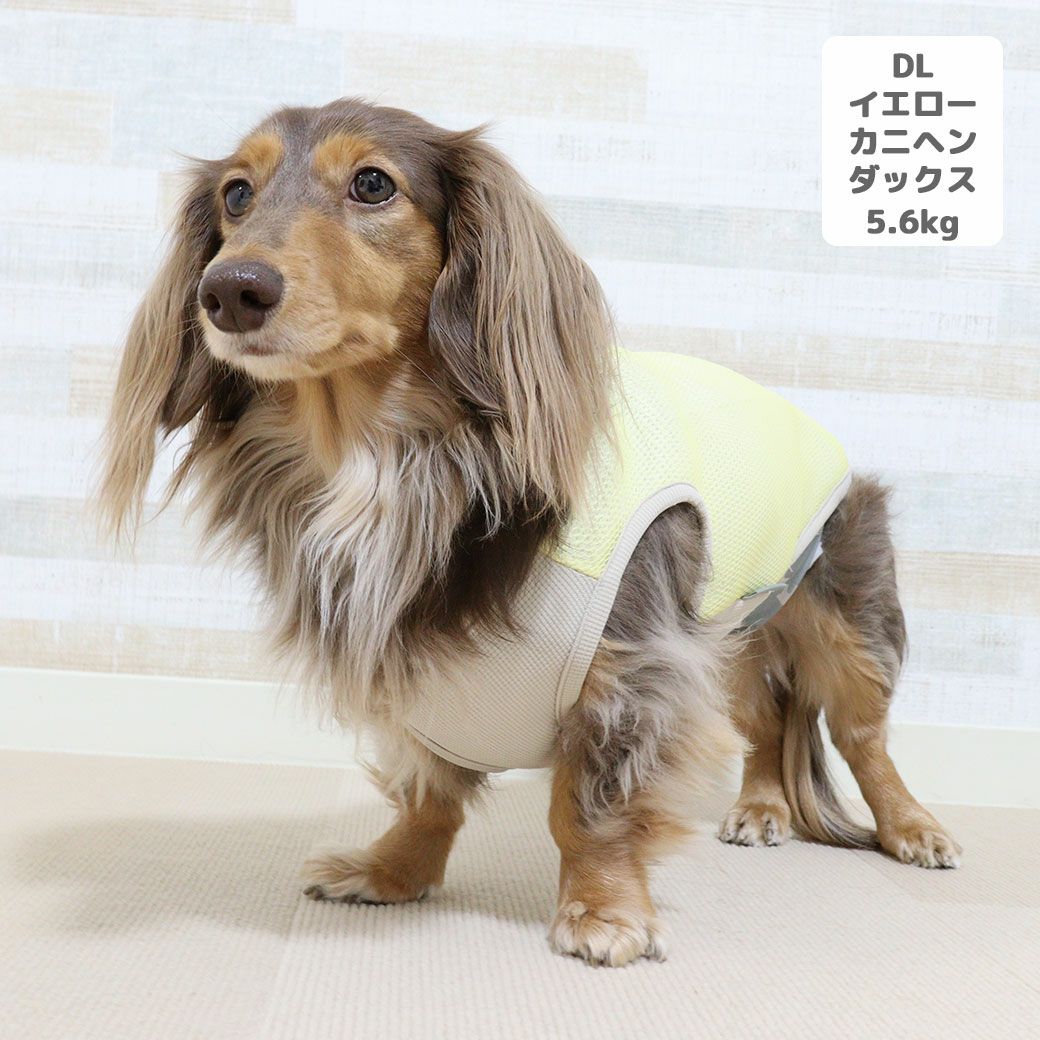 専用☆●犬服●ハンドメイド 胴43 NO.653 iDog AQUA HOLD ひんやり空冷&保水 肩開きWクールタンク アイドッグ-犬