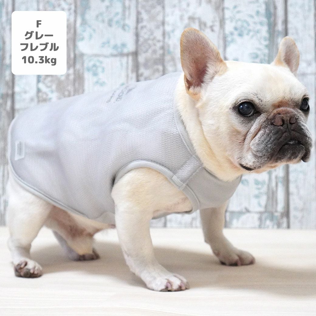 フレブル10.3kg(首38/胴56/丈34cm)のブランくんはグレーのFを着用