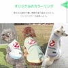 iDogオリジナルのカラーリング
