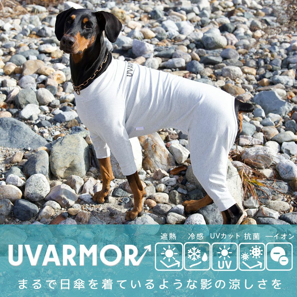 iDog UVARMOR 中大型犬用 テックつなぎ 遮熱 UVカット 冷感 抗菌