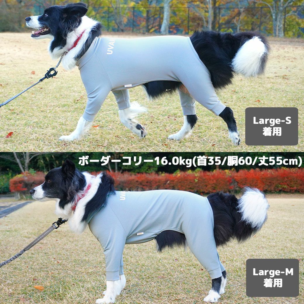 IDOG 犬用服　サイズDL 新品未使用 iDog UVARMOR 中大型犬用 テックつなぎ 遮熱 UVカット 冷感 抗菌