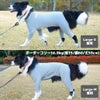 ボーダーコリー16.0kg(首35/胴60/丈55cm)のラムネちゃんはシャドーブルーを着用