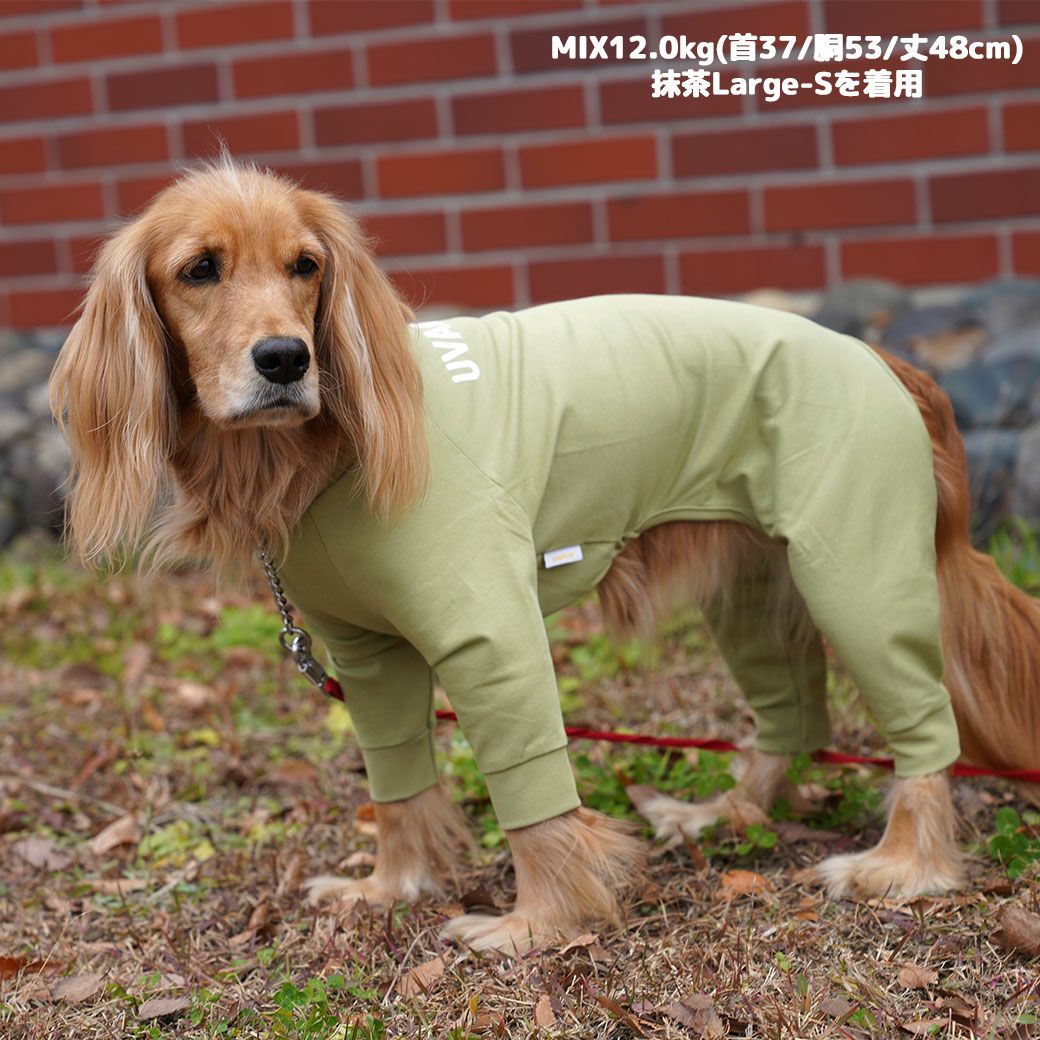 iDog UVARMOR 中大型犬用 テックつなぎ 遮熱 UVカット 冷感 抗菌