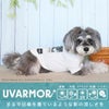iDogUVARMORグレムリンフォトTシャツ遮熱UVカット冷感抗菌マイナスイオンアイドッグ