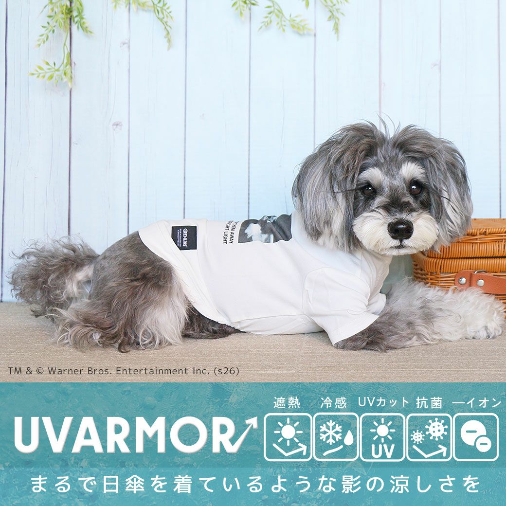 iDogUVARMORグレムリンフォトTシャツ遮熱UVカット冷感抗菌マイナスイオンアイドッグ