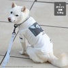 豆柴6.0kg(首31/胴45/丈33cm)のラテちゃんはホワイトのLを着用
