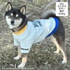 柴犬8.9kg(首33/胴54/丈39cm)のチョコプリンちゃんはミックスカラーのXXLを着用