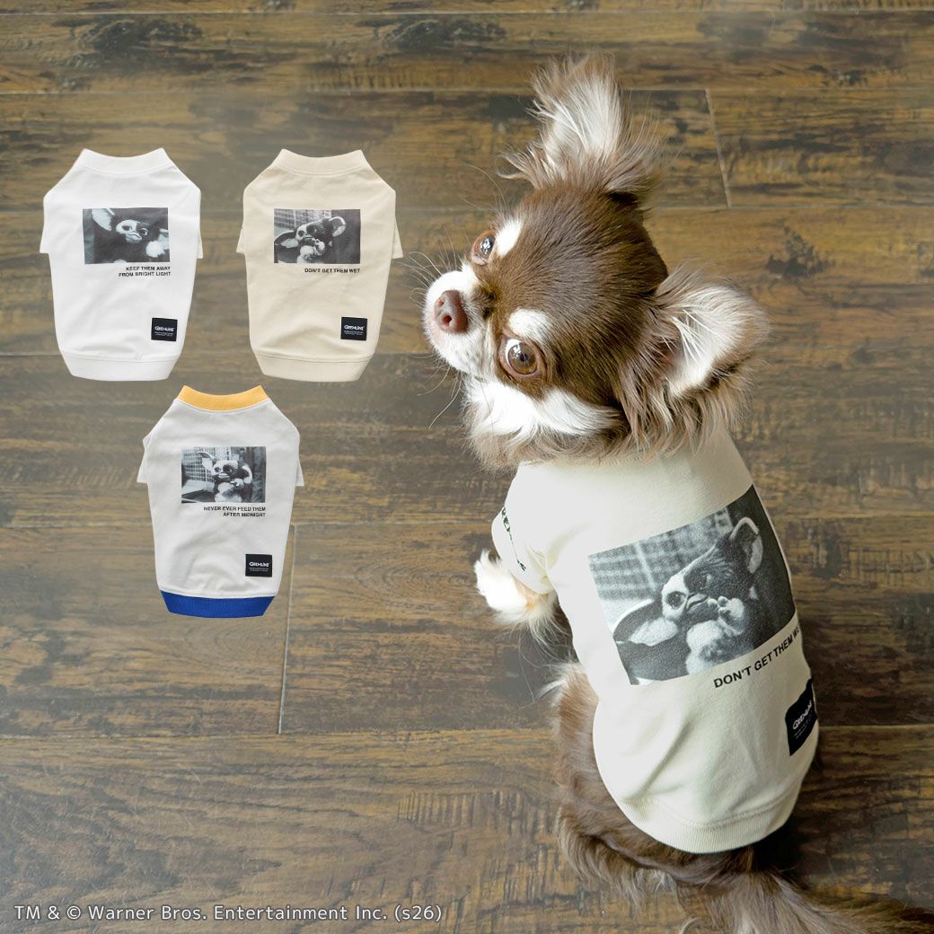 iDog UVARMOR グレムリンフォトTシャツ 遮熱 UVカット 冷感 抗菌