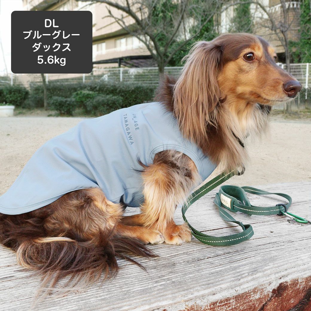 iDog UN_AGE TAMAGAWA 背中開きタンク アイドッグ-犬猫用品通販 IDOG&ICA