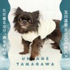 iDogUN_AGETAMAGAWAインナータンクアイドッグ