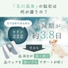 半減期が約3.8日と長く身体にとどまるという特性を持ちます