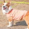 シンプルデザイン