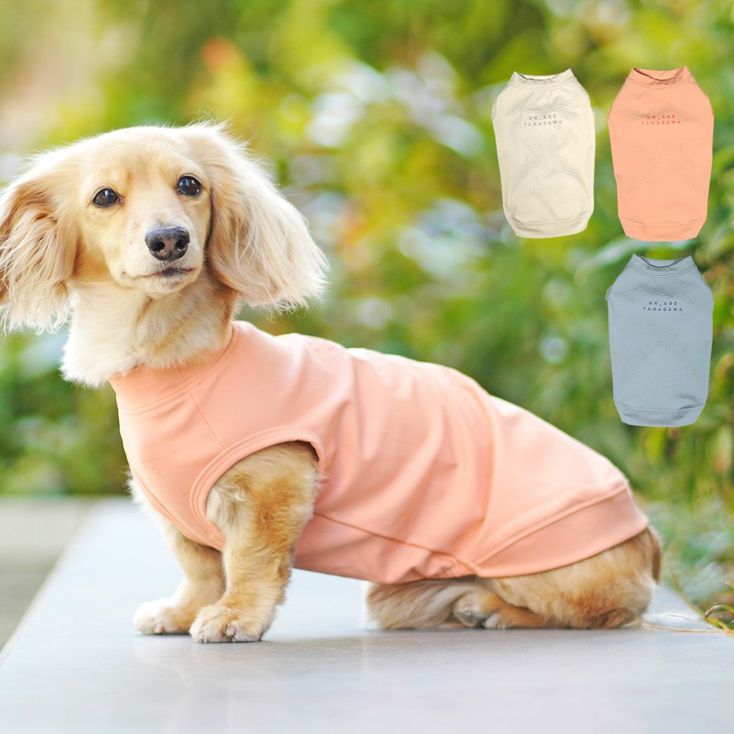 iDog UN_AGE TAMAGAWA インナータンク アイドッグ-犬猫用品通販 IDOG&ICA