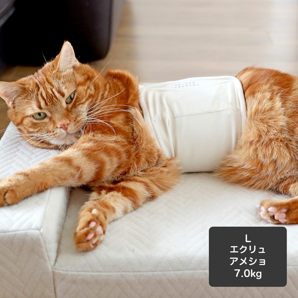 アメショ7.0kg(首28/胴48/丈28cm)のタラくんはエクリュのLを着用
