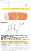 サイズ表