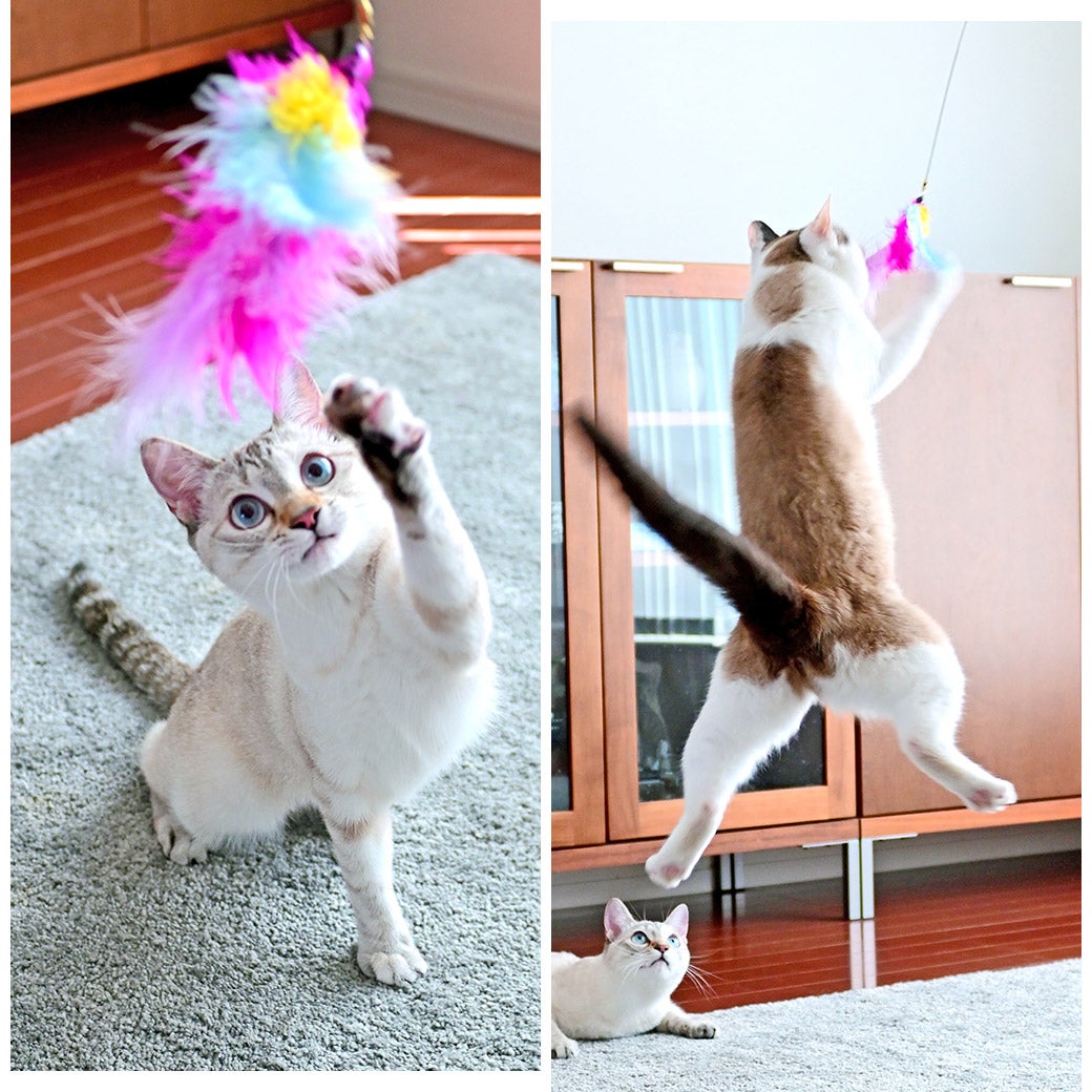 iCat FLYING CAT 釣りざお猫じゃらし ふんわりフェザー-犬猫用品通販