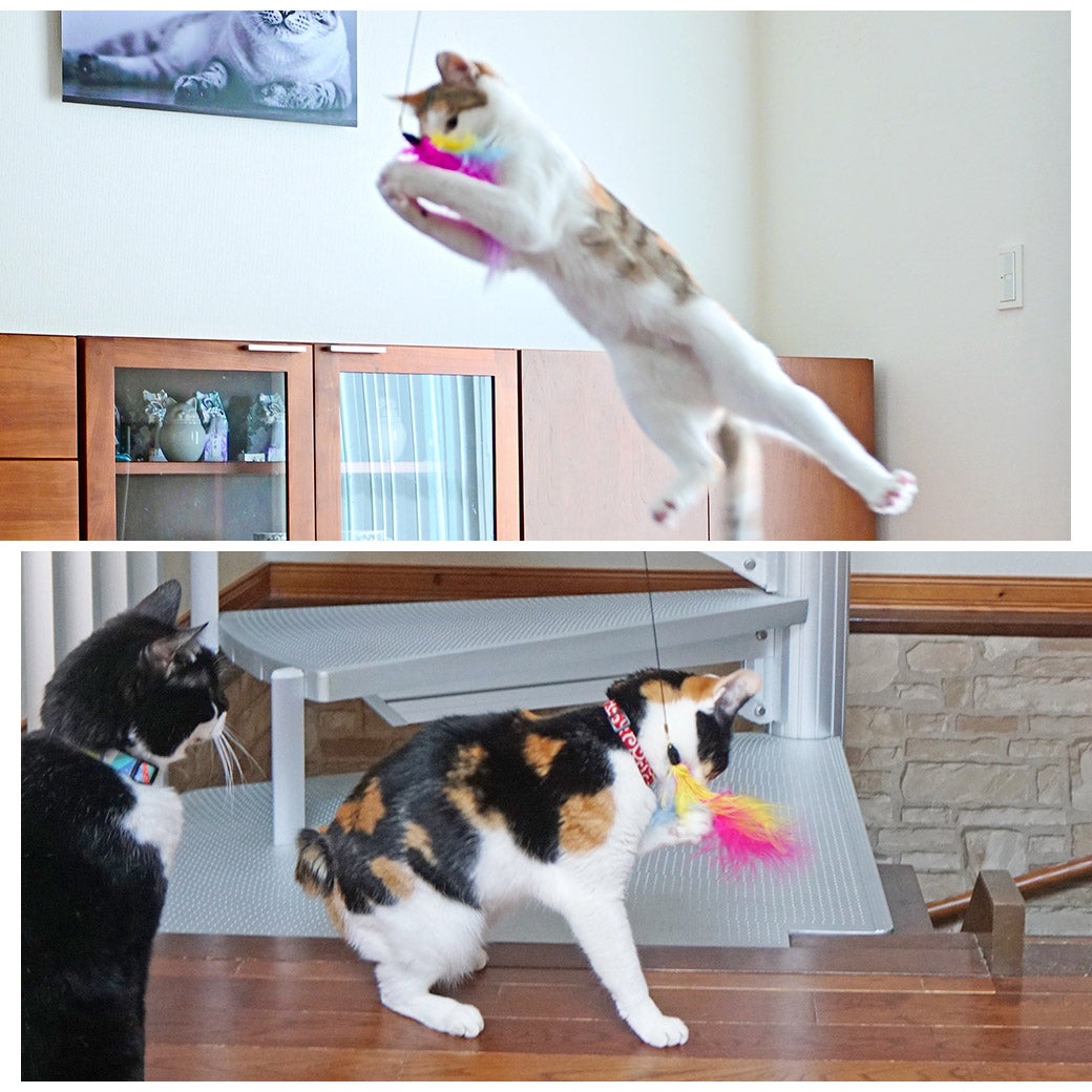 iCat FLYING CAT 釣りざお猫じゃらし ふんわりフェザー-犬猫用品通販