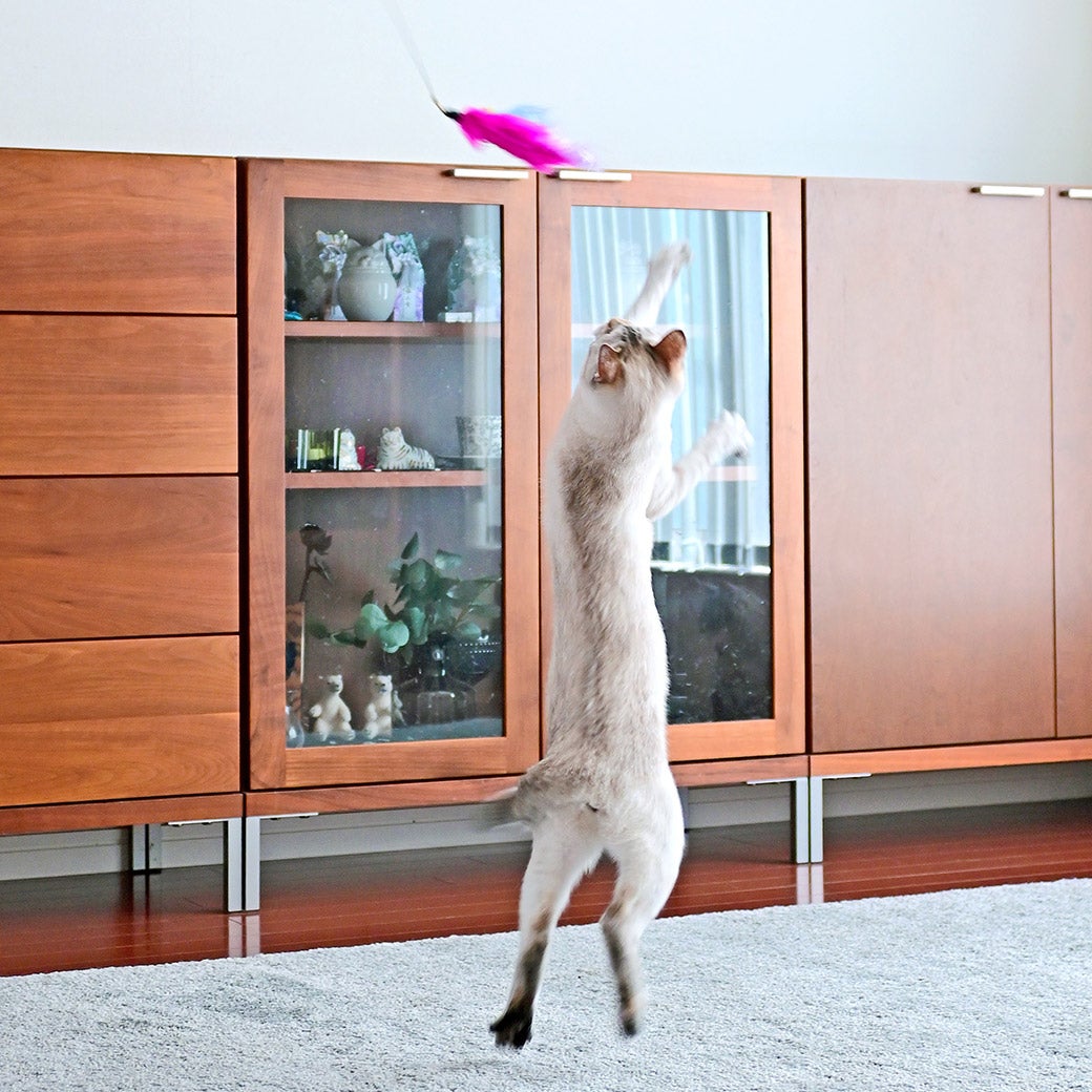 【猫おもちゃ】iCatFLYINGCAT釣りざお猫じゃらしふんわりフェザー