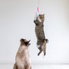 【猫おもちゃ】iCatFLYINGCAT釣りざお猫じゃらしカシャカシャとんぼ