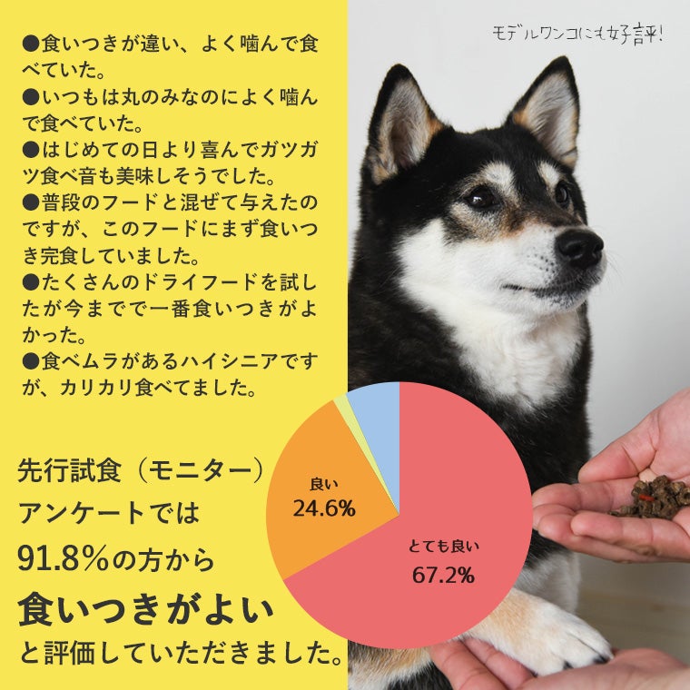 DOZOはこだわりのプレミアムドッグフードです