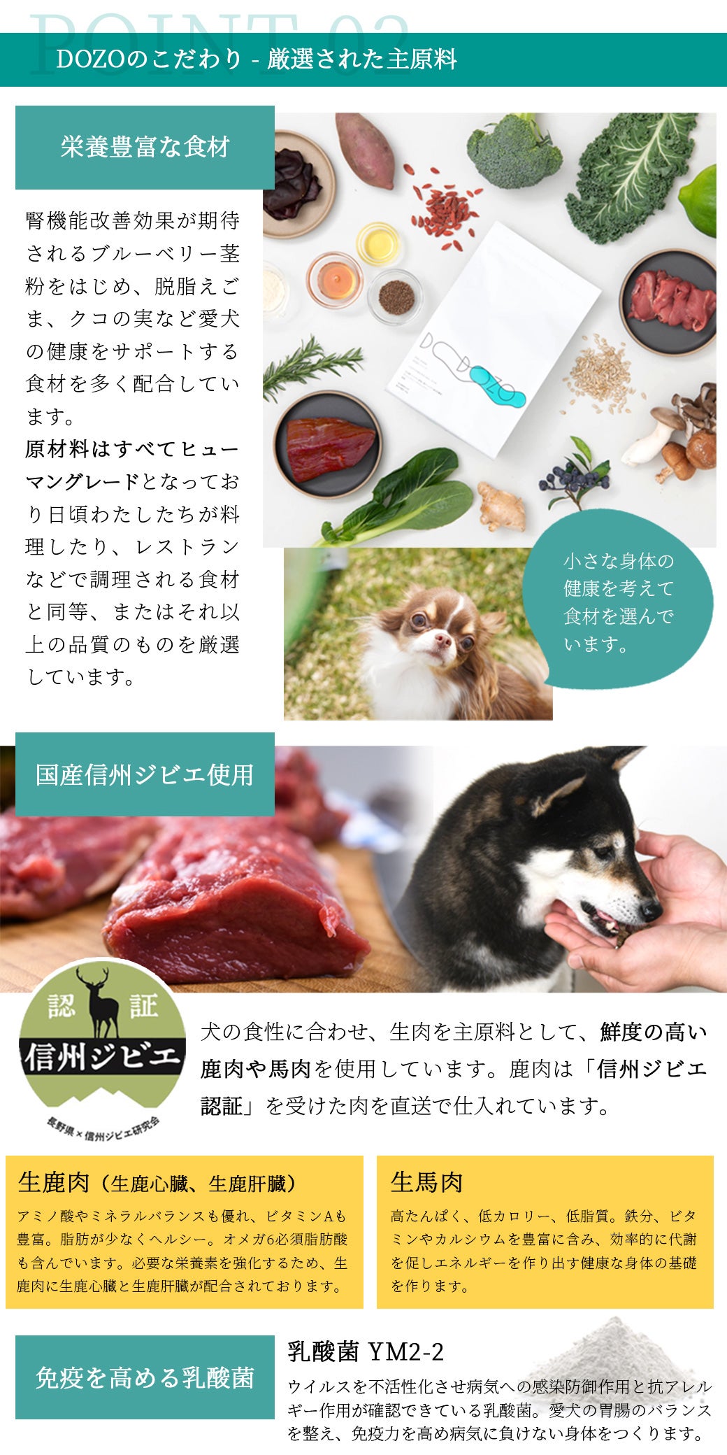 DOZOは厳選食材・新鮮な信州ジビエを使用しています