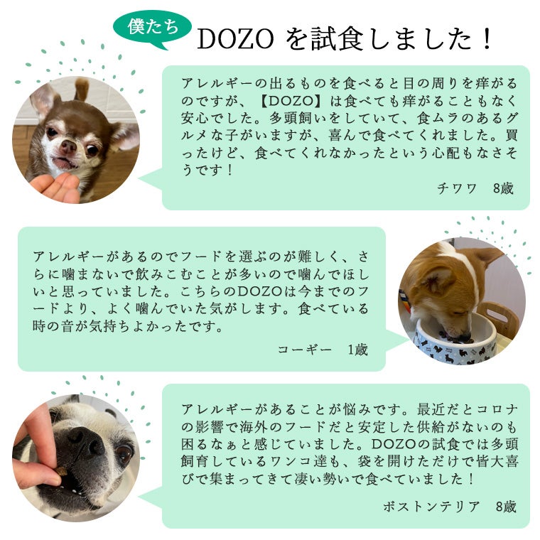 DOZOの試食アンケート