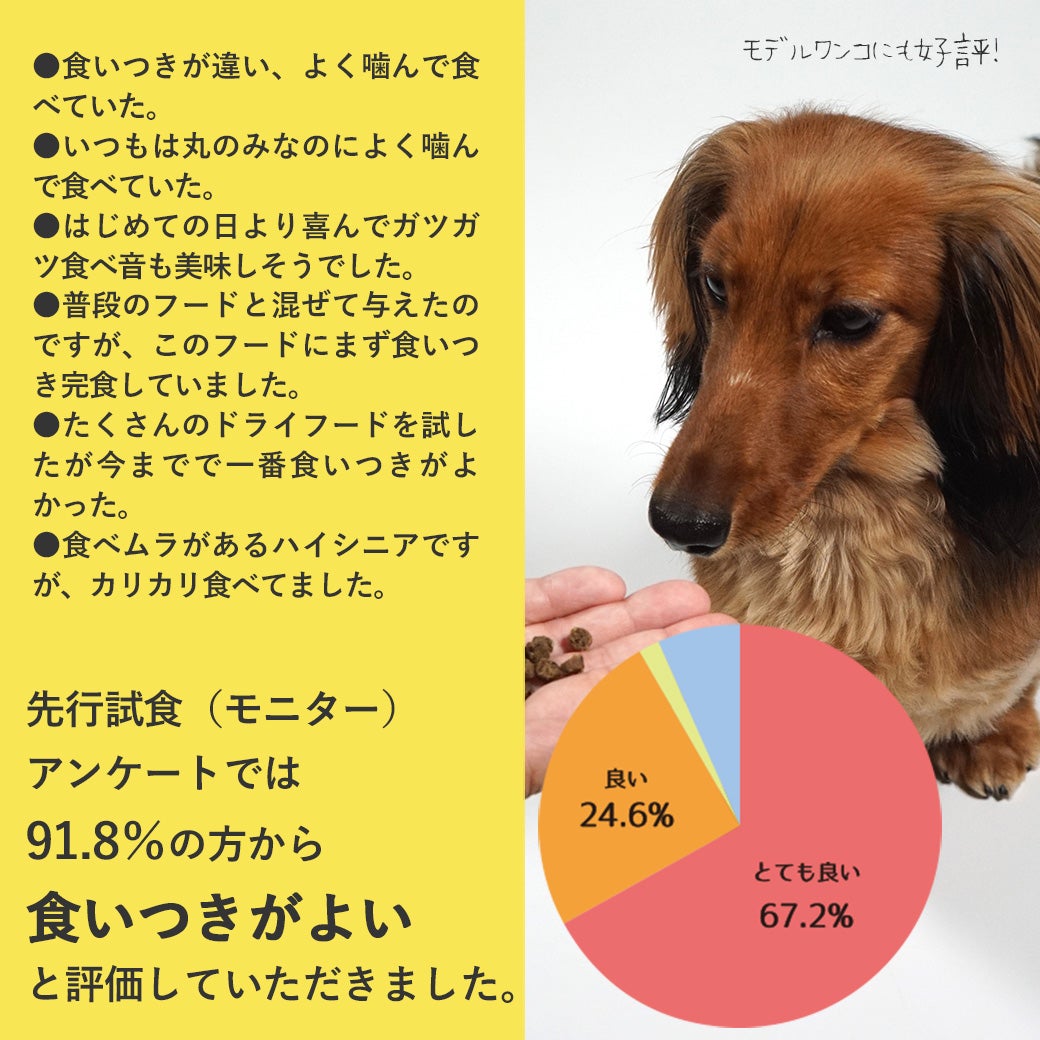 プレミアム ドッグフード 】DOZO 超小粒 700g【 国産 犬 ドライフード