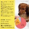 DOZOは食いつきが良いと高評価を得ています