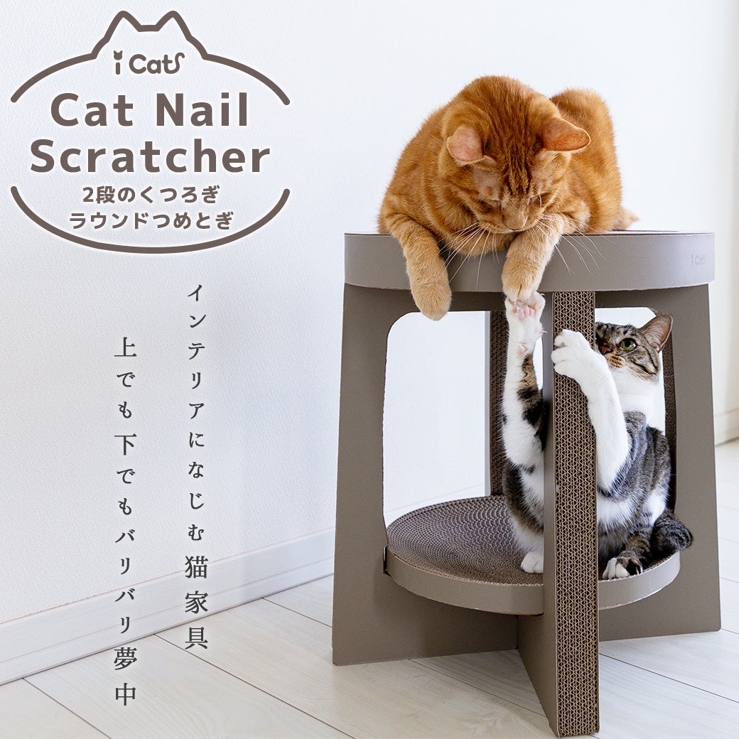 iCat2段のくつろぎラウンド