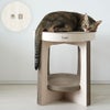MIX4.5kg(首21/胴36/丈34cm)のニコちゃんは木目を使用