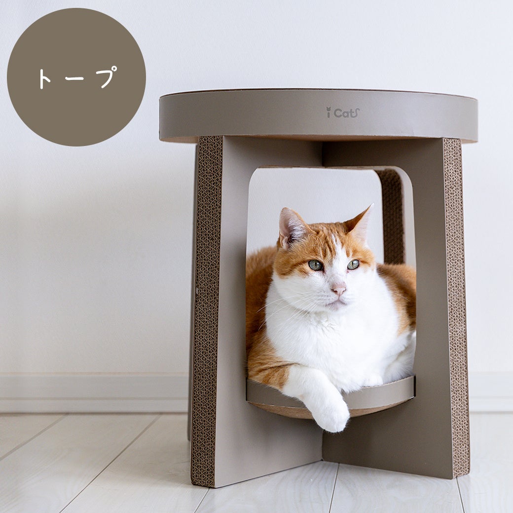 MIX8.6kg(首25/胴54/丈34cm)のゆづるくんはトープを使用