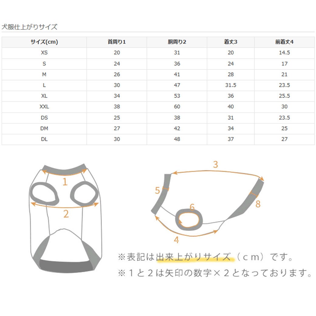 サイズ表