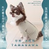iDogUN_AGETAMAGAWAあったかつなぎアイドッグ