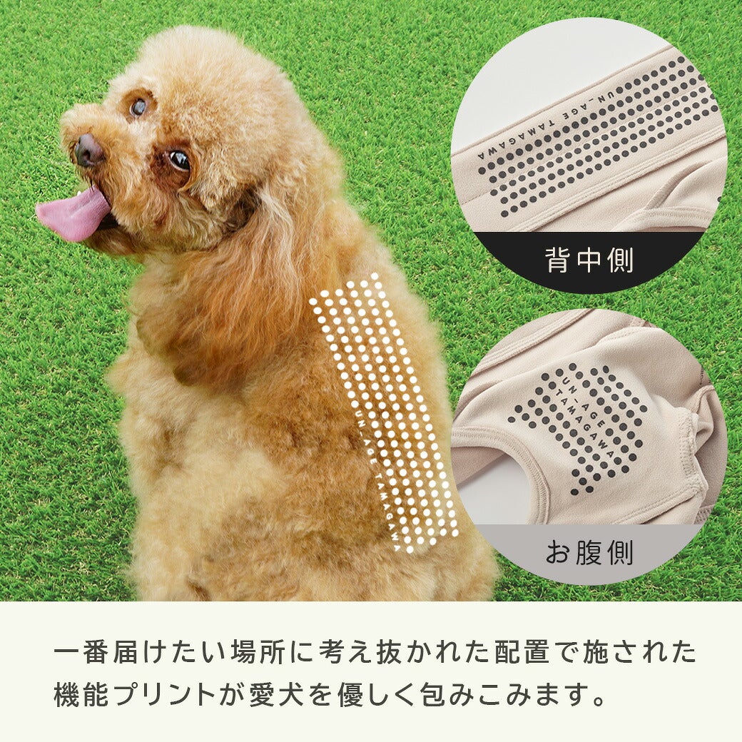 考え抜かれた配置で機能プリントを施しました