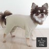 チワワ2.5kg(首20/胴35/丈33cm)のピクルスくんはグレージュのSを着用