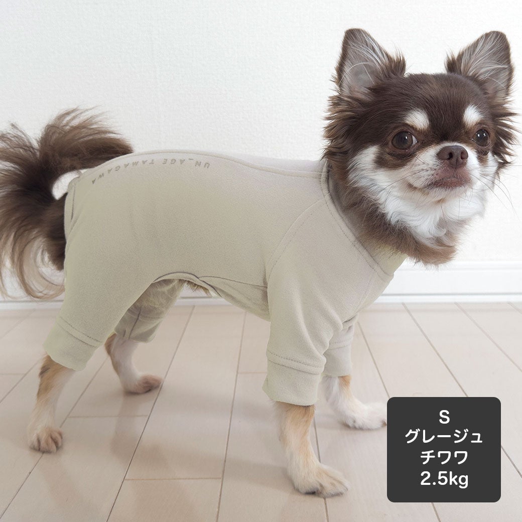 チワワ2.5kg(首20/胴35/丈33cm)のピクルスくんはグレージュのSを着用