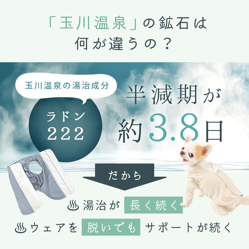 半減期が約3.8日と長く身体にとどまるという特性を持ちます