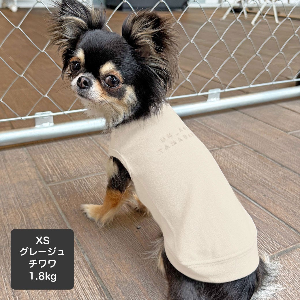 チワワ1.8kg(首19.5/胴27.5/丈22cm)のざらめちゃんはグレージュのXSを着用