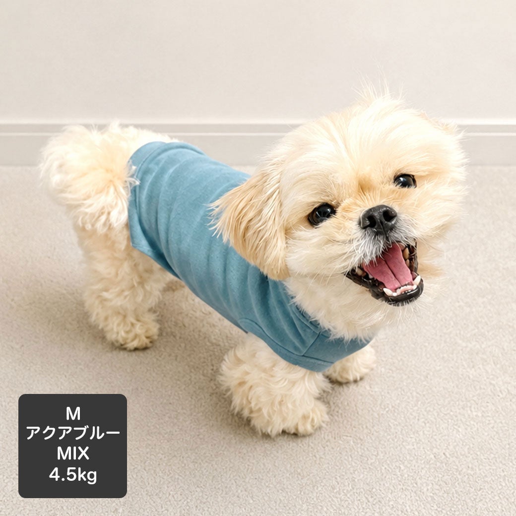 MIX4.5kg(首24/胴38/丈30cm)のとろろくんはアクアブルーのMを着用